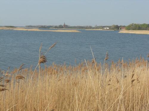 Foto - nur wenige Meter bis zum Wasser 3.ZKB mit 58 qm
