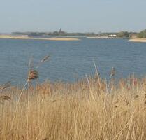 nur wenige Meter bis zum Wasser 3.ZKB mit 58 qm - Greifswald Eldena