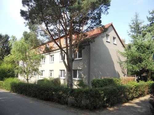 Foto - 3 Zimmer Erdgeschoßwohnung zur Miete in Greifswald