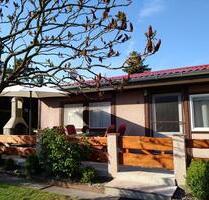 kl. strandnahes Fhs am Oderhaff zu vermieten - Frankfurt (Oder)