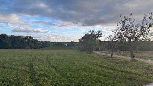 Foto - Landwitschaftliche Fläche - Ausrichtung nach Süden