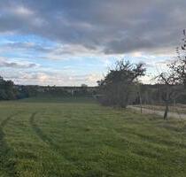 Landwitschaftliche Fläche - Ausrichtung nach Süden - Künzelsau