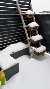 Foto - 1 Zimmer Etagenwohnung in Hamburg