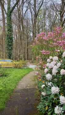 Foto - Doppelhaushälfte zum Kaufen in Bad Salzuflen