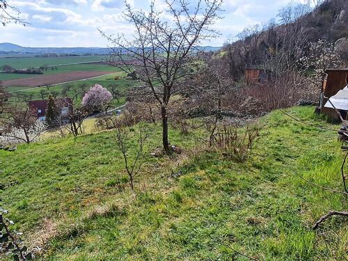 Foto - Freizeitgrundstück, Gütle, Garten