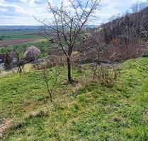 Freizeitgrundstück, Gütle, Garten - Tübingen