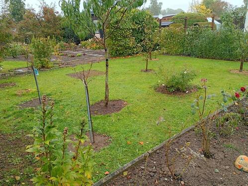 Foto - Grundst&uuml;ck zur Miete in Amtsberg