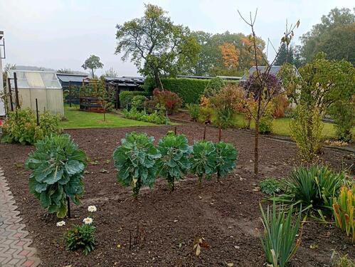 Foto - Grundst&uuml;ck in Amtsberg