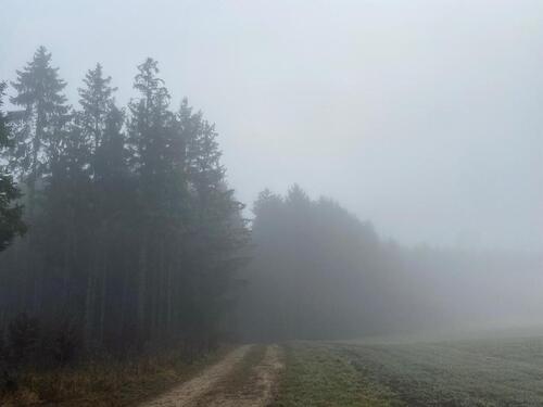 Foto - Wald-Grundstück Messstetten - 5.000,00&nbsp;EUR Kaltmiete, ca.&nbsp; 0,00&nbsp;m&sup2;