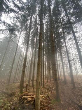 Foto - Grundst&uuml;ck in Meersburg