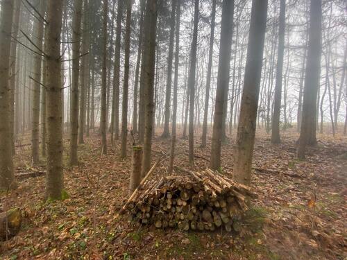 Foto - Grundst&uuml;ck in Meersburg zur Miete
