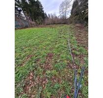 Gartengrundstück wunderschön gelegen direkt in Pirmasens!