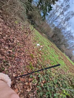 Foto - Grundstück zur Miete in Pirmasens