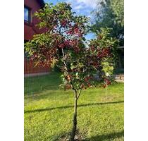 Freie Termine! Gemütliche Ferienwohnung | Parkplatz inkl. | 50 € - Eppendorf