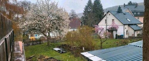 Foto - Einfamilienhaus in Olbernhau zum Kaufen