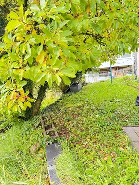 Foto - Etagenwohnung in Schramberg zur Miete