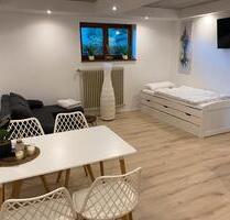 Apartement Wohnung möbliert Ferienwohnung 1 Zimmer renoviert - Todtmoos
