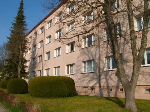 Foto - Etagenwohnung zur Miete in Zeulenroda-Triebes