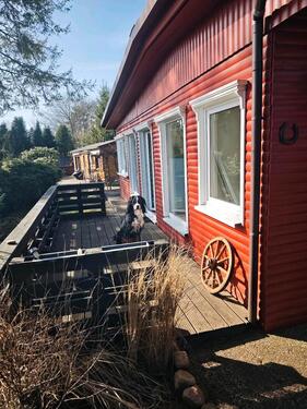 Foto - 3 Zimmer Einfamilienhaus in Soltau