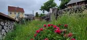 Foto - Einfamilienhaus in Auma-Weidatal zum Kaufen