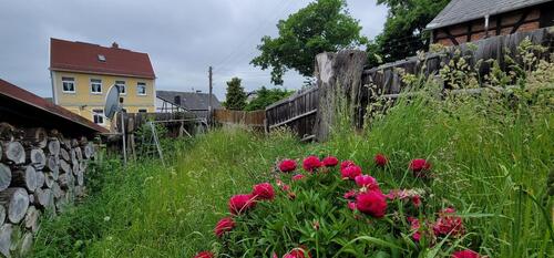 Foto - Einfamilienhaus in Auma-Weidatal zum Kaufen