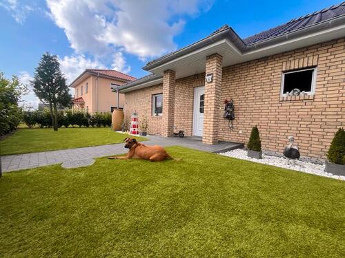 Foto - Bungalow mit Feldblick & Sonnenuntergang