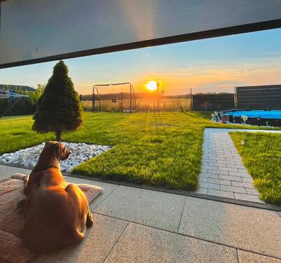 Foto - Bungalow in Oberbarnim zum Kaufen