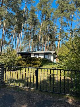 Foto - 3 Zimmer Einfamilienhaus zum Kaufen in Bad Düben