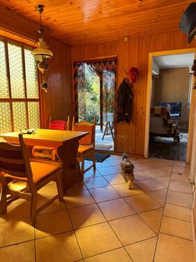 Foto - Einfamilienhaus in Bad Düben zum Kaufen