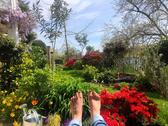 Foto - 2-Zimmer-Eigentumswohnung mit Garten & Terrasse direkt am Rhein