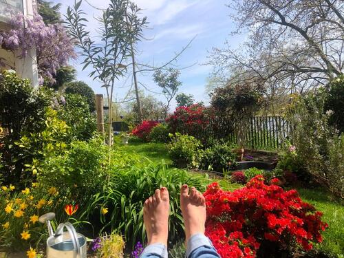 Foto - 2-Zimmer-Eigentumswohnung mit Garten & Terrasse direkt am Rhein