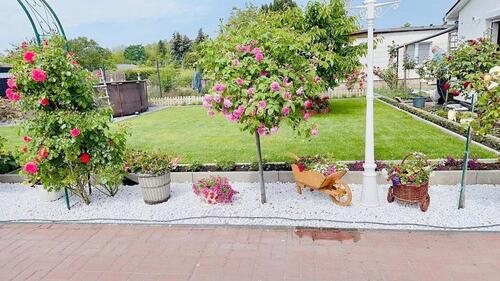 Foto - 5 Zimmer Haus in Blankenburg mit wunderschönem Garten