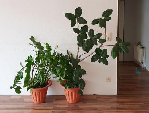 Foto - 2.5 Zimmer Erdgeschoßwohnung in Duisburg