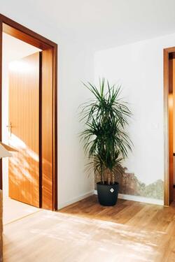 Foto - Etagenwohnung in Königswinter zur Miete