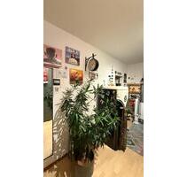 Vermiete zeitweise helle 1 Zimmer Wohnung in Top Lage - München Ludwigsvorstadt-Isarvorstadt