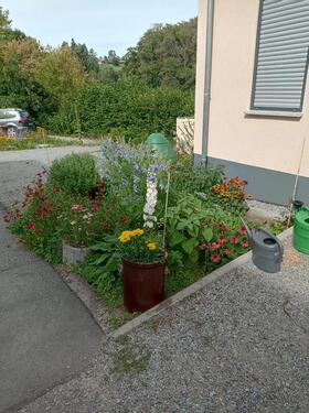 Foto - Einfamilienhaus in Wald-Michelbach zum Kaufen