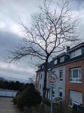 Foto - 2 Zimmer Dachgeschoßwohnung zur Miete in Wuppertal