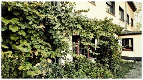 Foto - Einfamilienhaus in Nobitz zum Kaufen