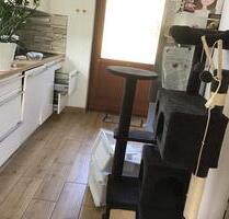 Einfamilienhaus mit Garten - 1.450,00&nbsp;EUR Kaltmiete, ca.&nbsp; 105,00&nbsp;m&sup2; in Lützelbach (PLZ: 64750)