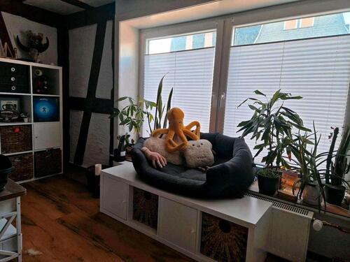 Foto - 3 Zimmer Erdgeschoßwohnung zur Miete in Dautphetal