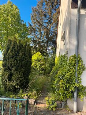 Foto - Einfamilienhaus in Arneburg zum Kaufen