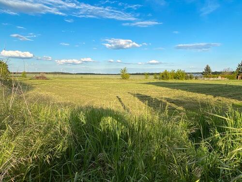 Foto - Bauträgerfreies Baugrundstück Blick auf Feld&Wald