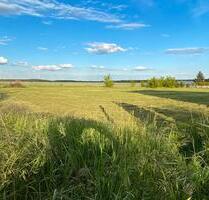 Bauträgerfreies Baugrundstück Blick auf Feld&Wald - Herzberg (Elster)