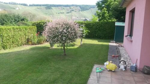 Foto - Etagenwohnung in Lösnich zur Miete