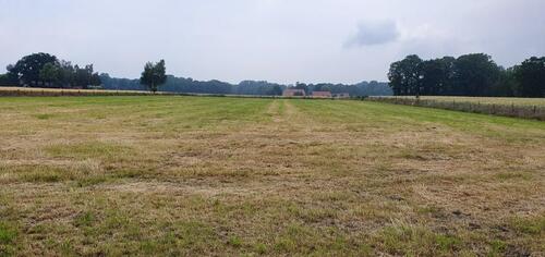 Foto - 10 Zimmer Einfamilienhaus zum Kaufen in Ennigerloh