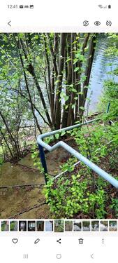 Foto - 2 Zimmer Bungalow zur Miete in Wolfsburg