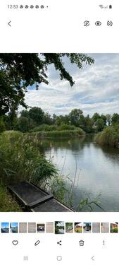 Foto - 2 Zimmer Bungalow in Wolfsburg