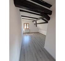 Großzügige 4-Raum-Wohnung im Grünen in Zentrumsnähe - Zittau