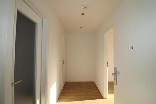 Foto - Etagenwohnung in Chemnitz zur Miete