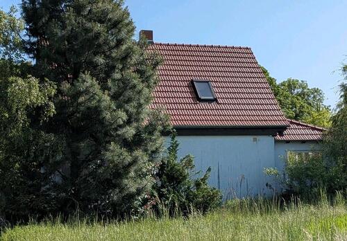 Foto - 5 Zimmer Einfamilienhaus in Weimar
